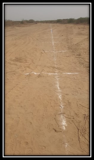 Boundary Wall