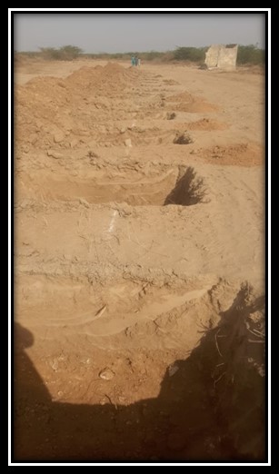 Boundary Wall
